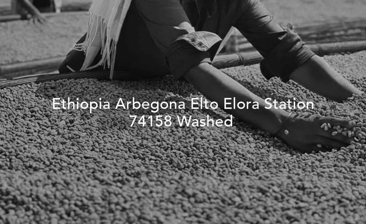 D107 埃塞俄比亚 Elto Elora 处理站 74158 水洗