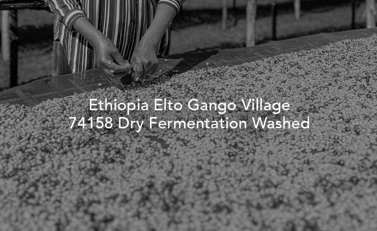 D106 埃塞俄比亚 Elto Gango Village 74158 干发酵水洗
