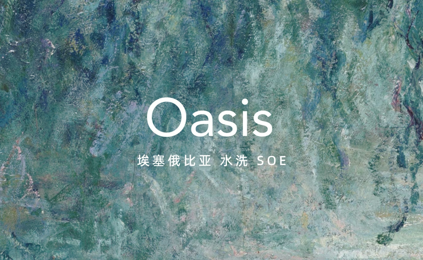 绿洲 OASIS 埃塞俄比亚 水洗 SOE