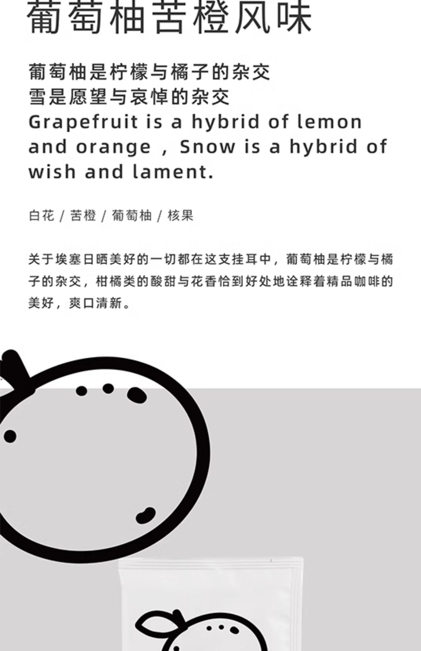 【白鲸咖啡】 精品风味挂耳系列 手冲便携挂耳包 10gx12